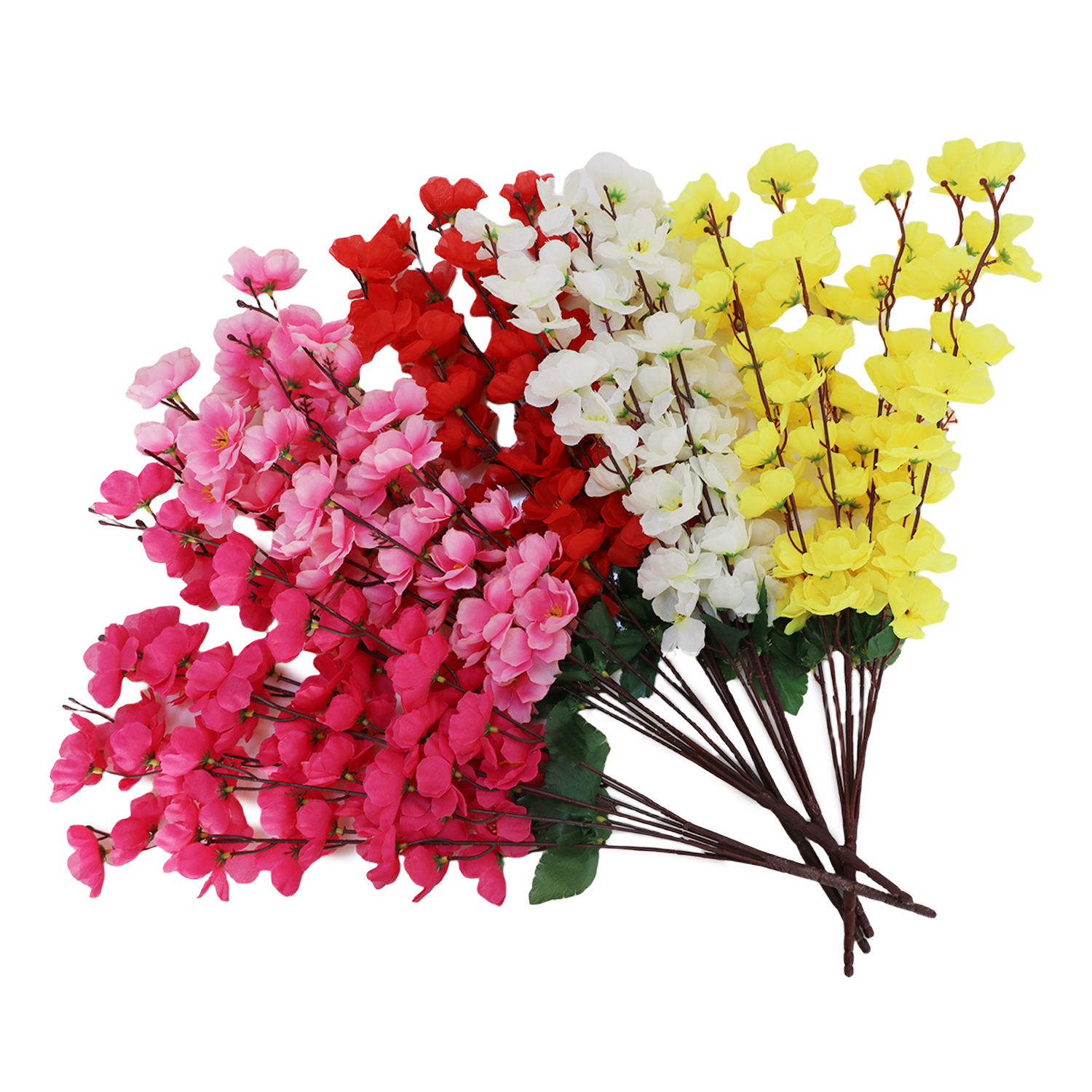 Attrezzatura Professionale